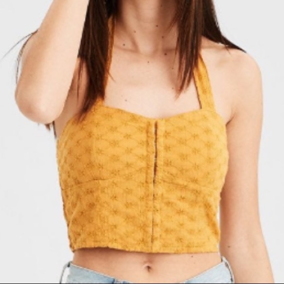 American Eagle Outfitters Tops - American Eagle embroidered corset halter crop top